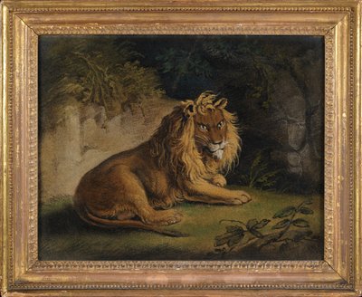 A Lion in a Jungle Landscape by Benjamin Zobel